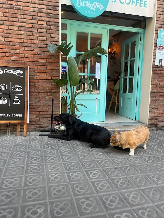 EatMyTrip Brunch & Coffee | Barcelona